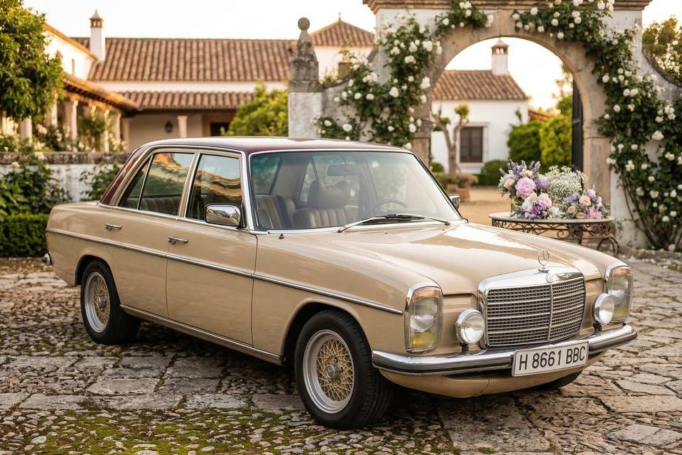 Mercedes-Benz W114