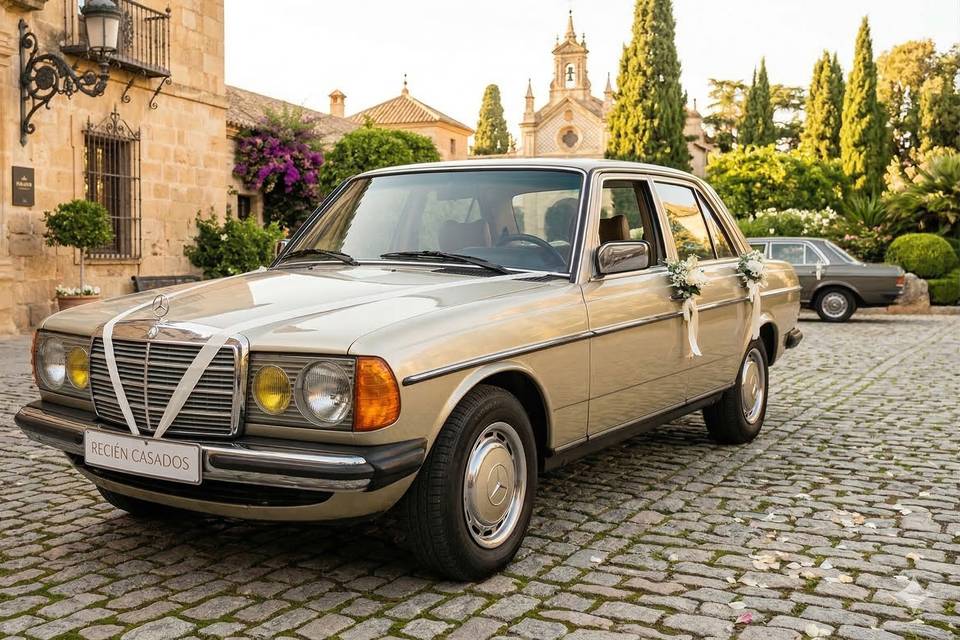 Mercedes-Benz W123