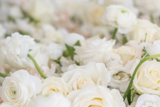 Pureza | Clásica | Sutil