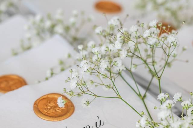 Detalle | Delicadeza | Lacre