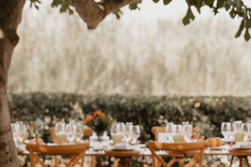 Naturaleza | Rústica | Frutal
