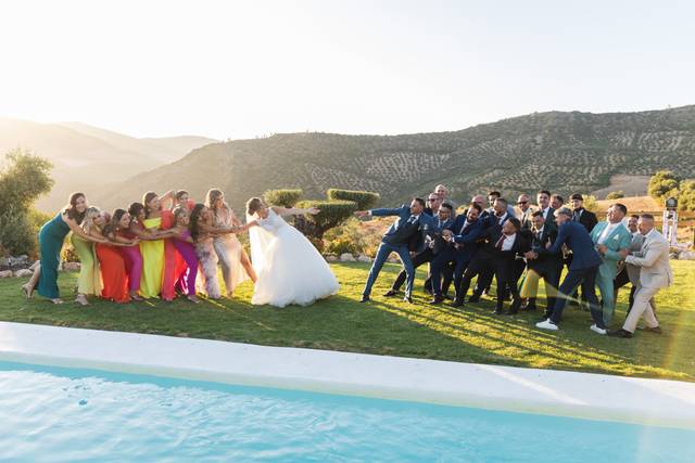 Bodas
