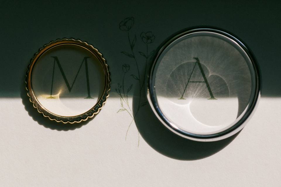 Los anillos