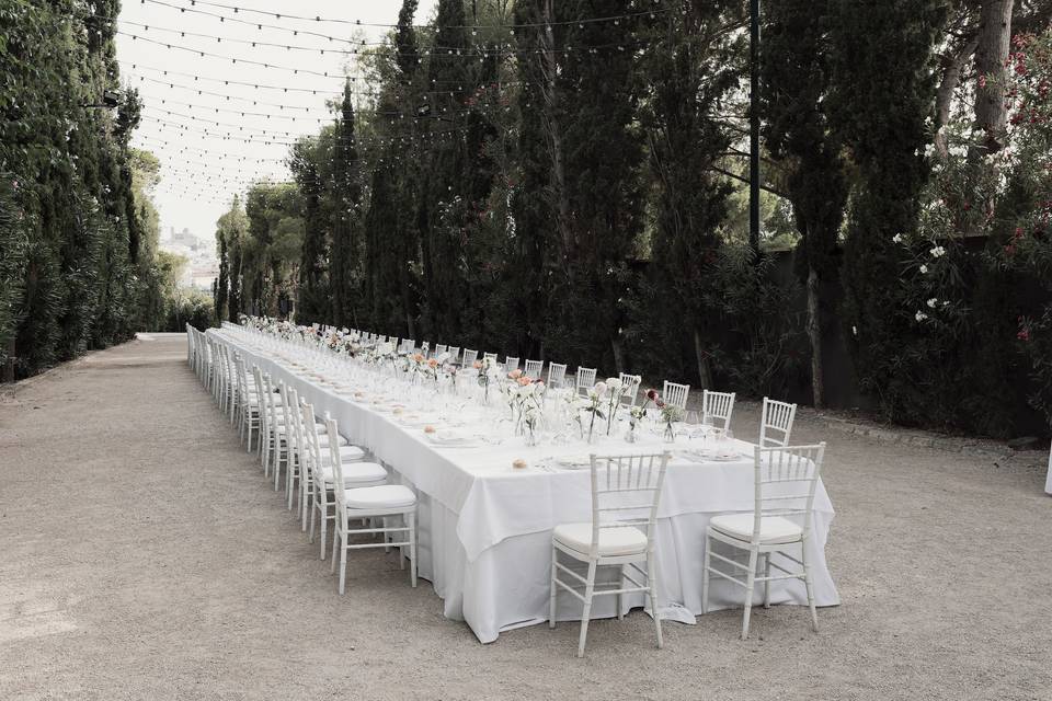 Recepcion