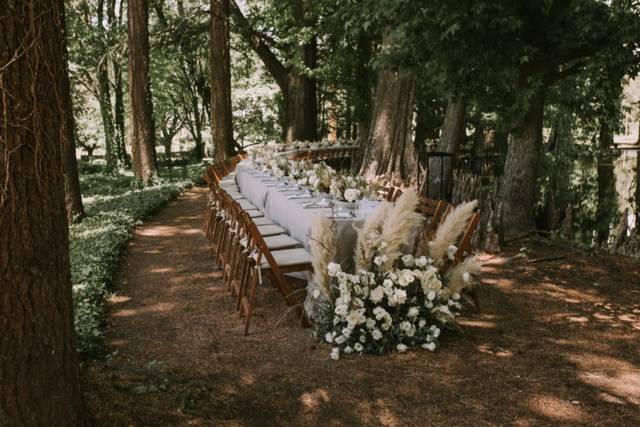 Mesa infinita en el bosque