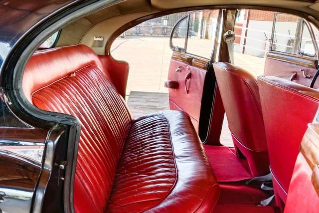 Interior parte asiento atrás