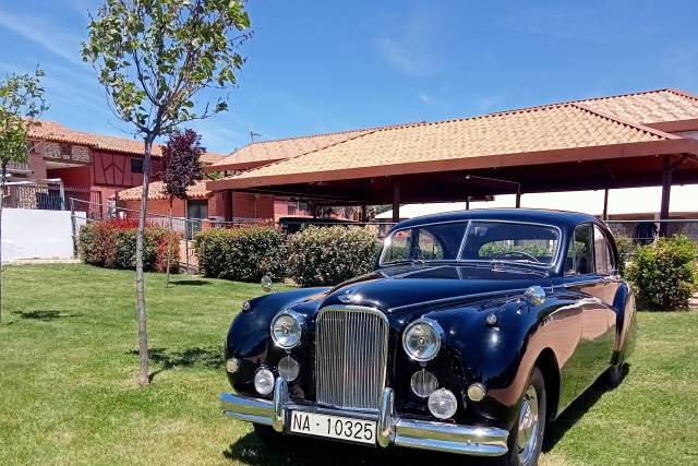 Jaguar
