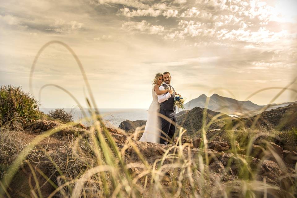 Postboda frigiliana