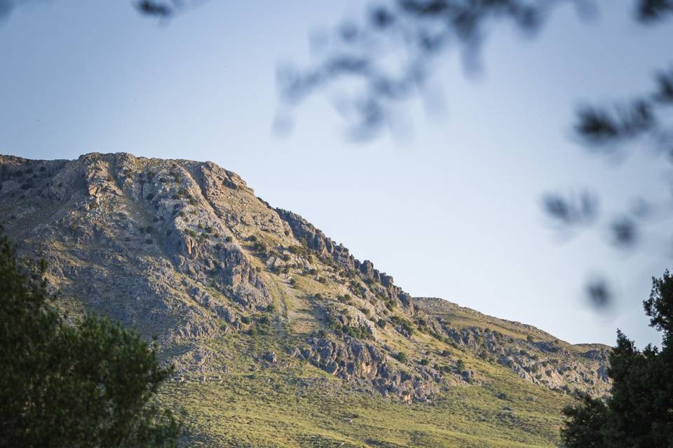 Situación de la finca