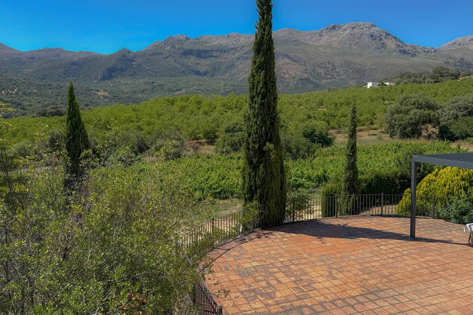 Entorno Villa la Torre