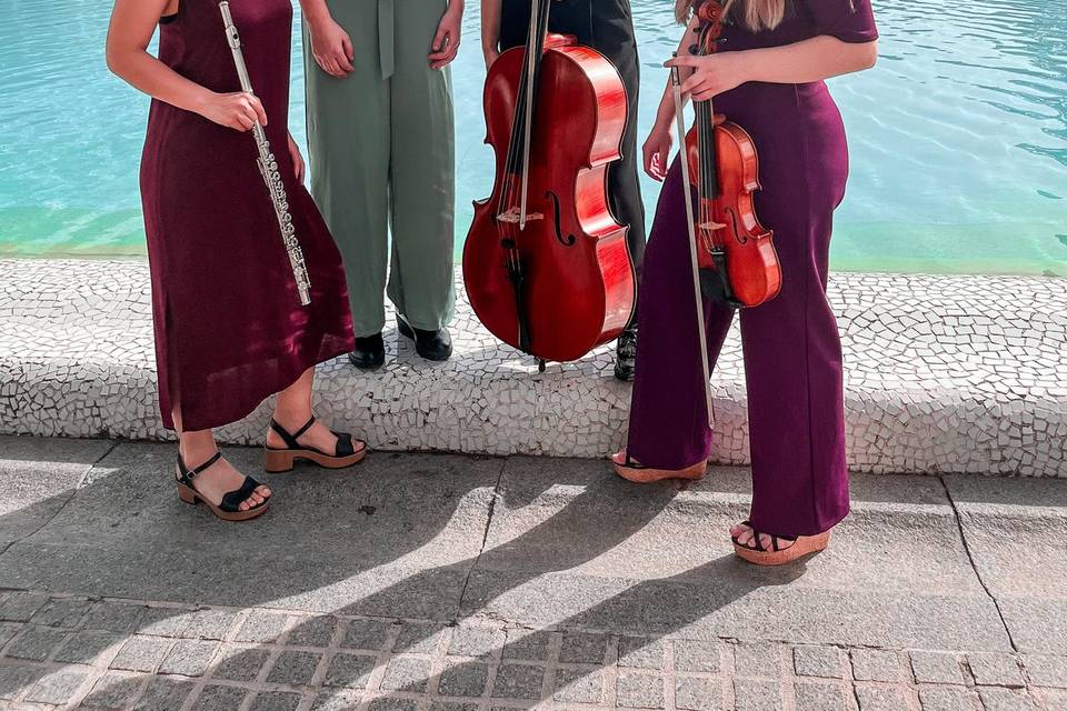 Música de cuerda y viento