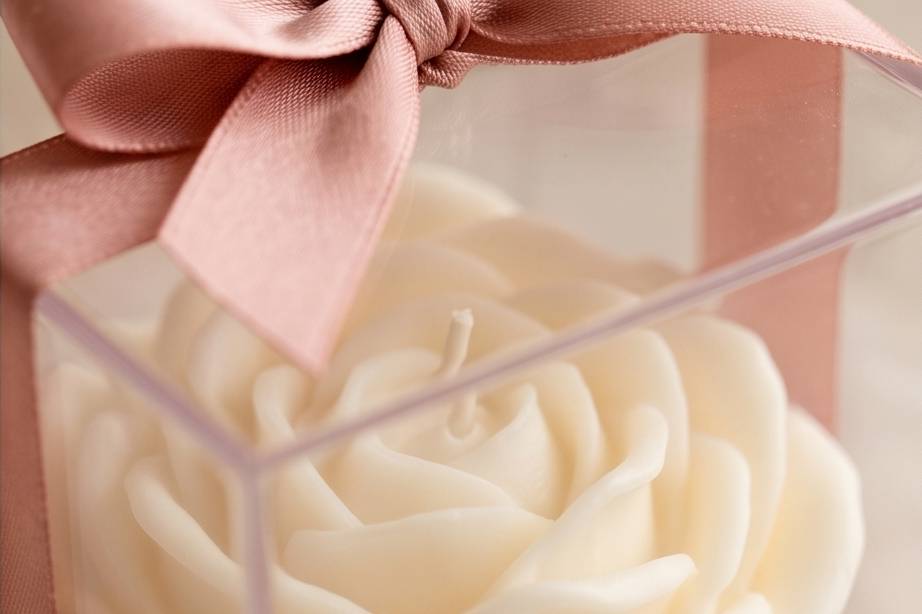 Rosa crema