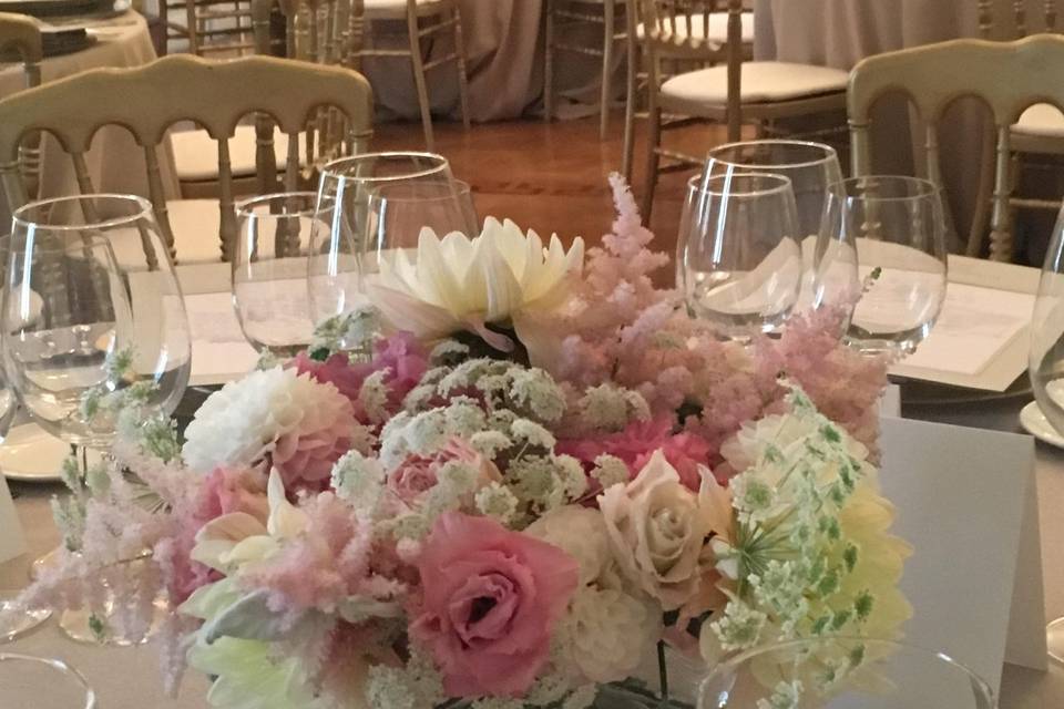 Bodas de Oro