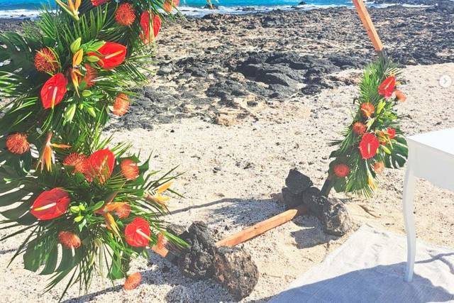 Arco tropical en la playa