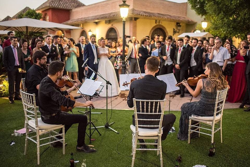 Boda en San Nicolás