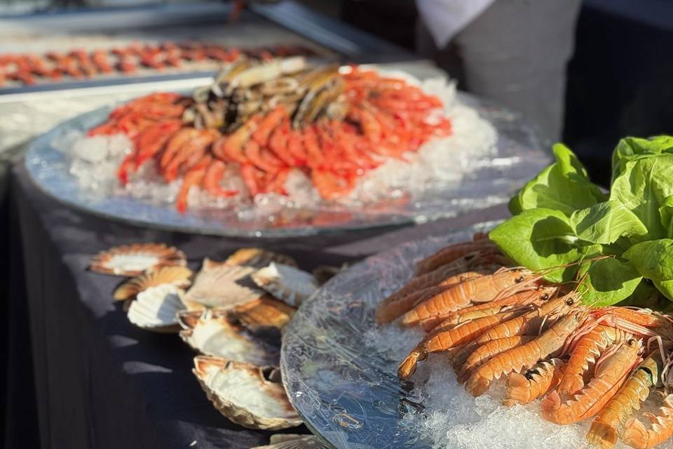 Catering Brizo