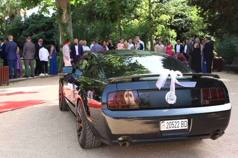 Boda de Erick & Mónica