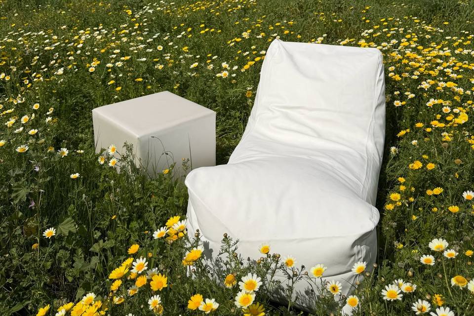 Lounger with side table