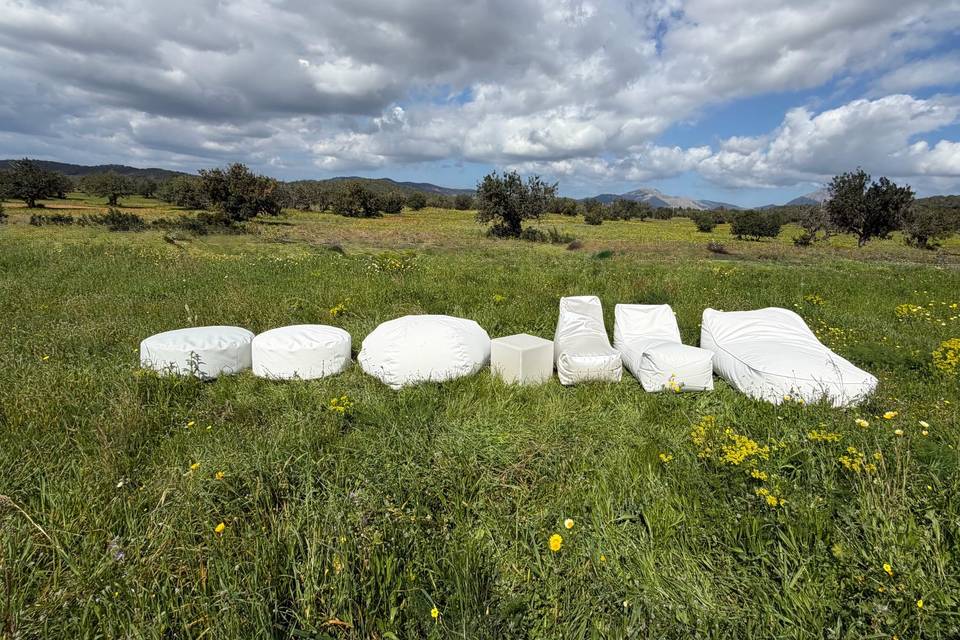 Colección