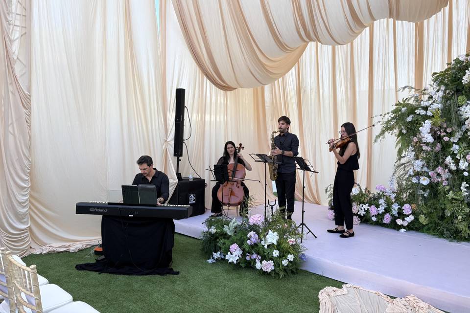 Cuarteto instrumental