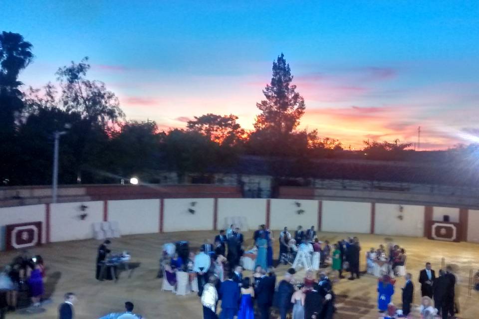 Boda pasodoble