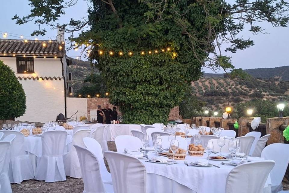 Boda