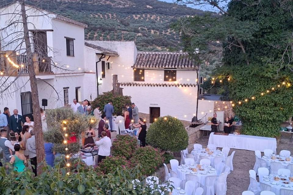 Boda
