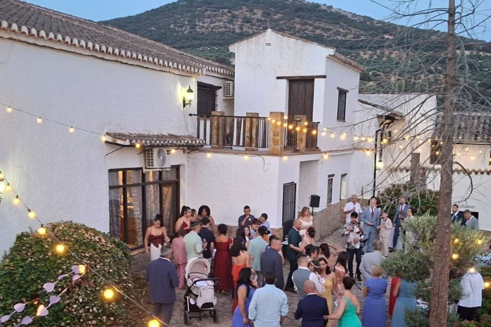 Boda
