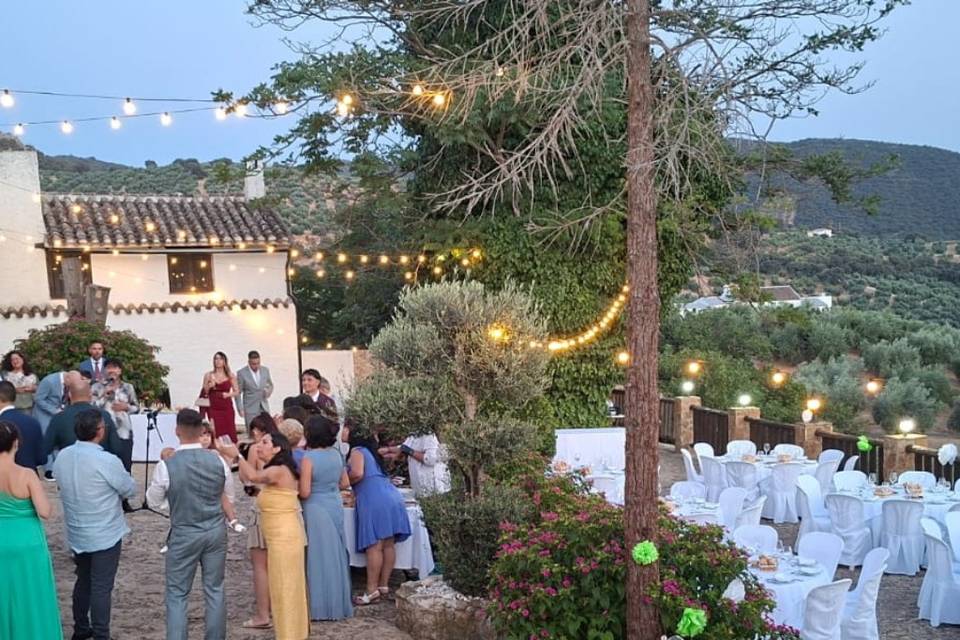 Boda