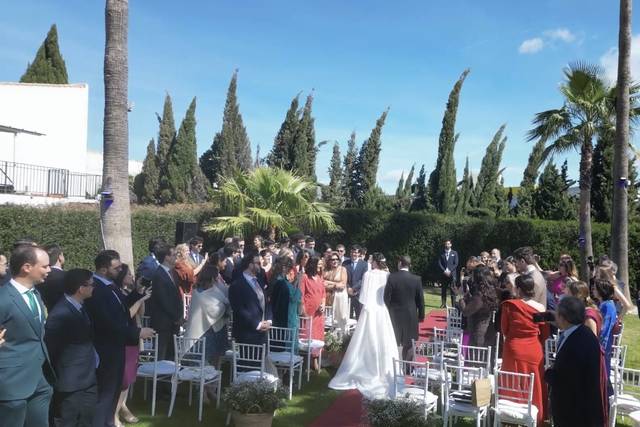 Entrada novia
