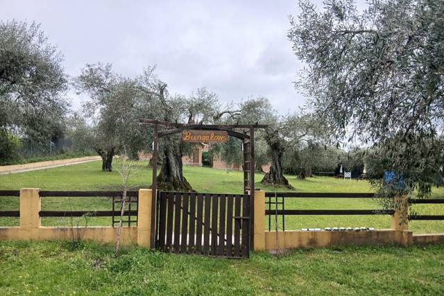 Finca Valle del Tietar