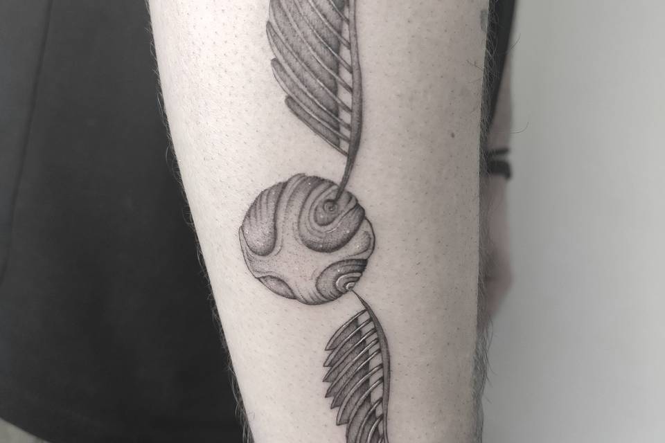 Harry Potter