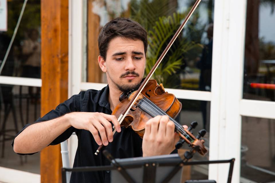 David (Violín)