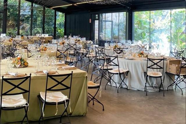 Comedor