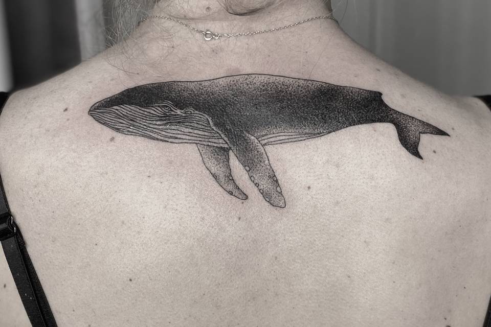 Animal
