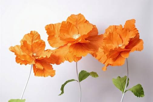 Flores de verano