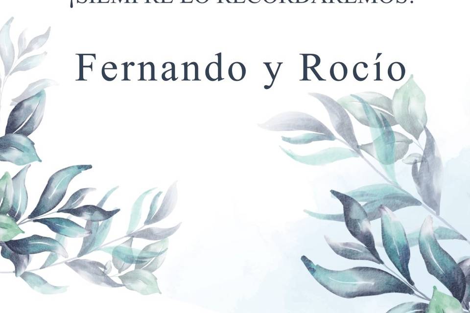 Videos Con Encanto