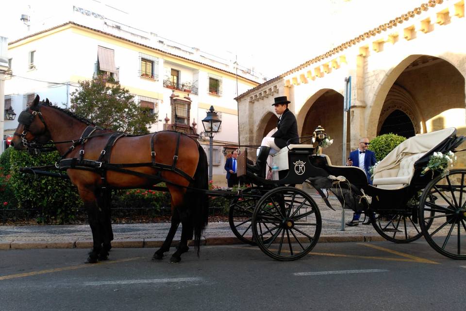 Córdoba