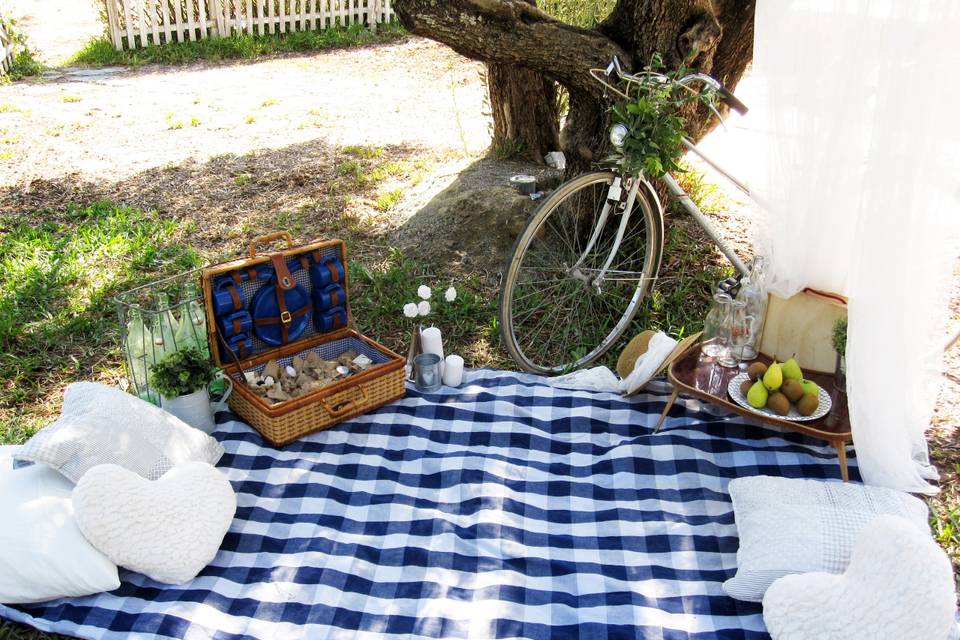 Decoración picnic