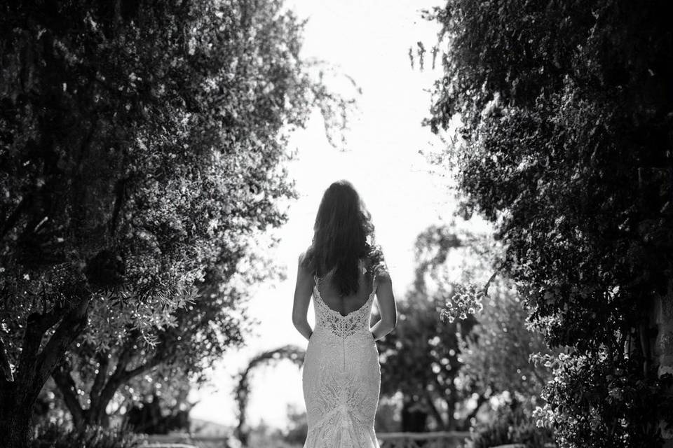 El camino de la novia