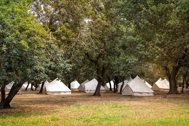 Tiendas bajo bosque