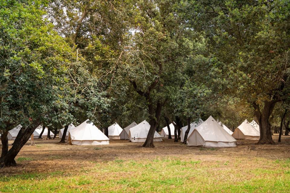 Tiendas bajo bosque