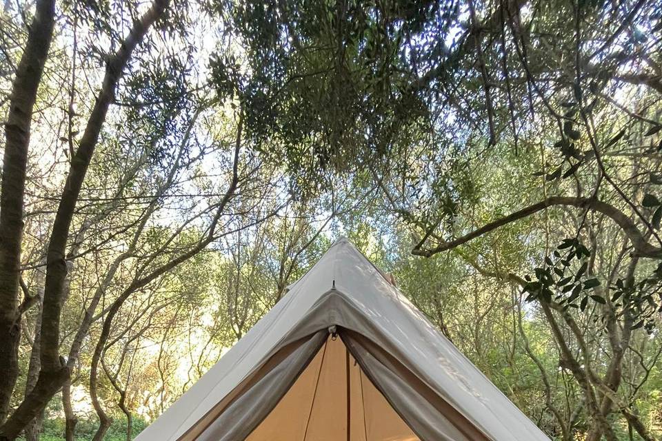 Glamping en la naturaleza