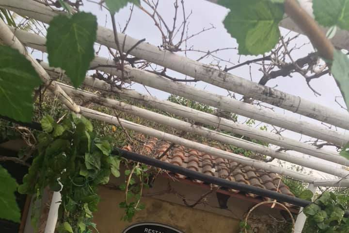 Finca La Vuelta