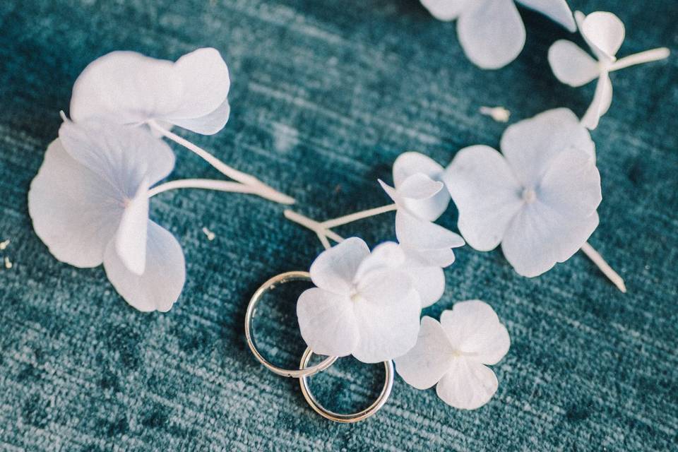 Anillos de la  boda de Carlos y Mc