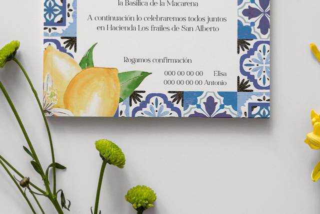 Cálamo Estudio