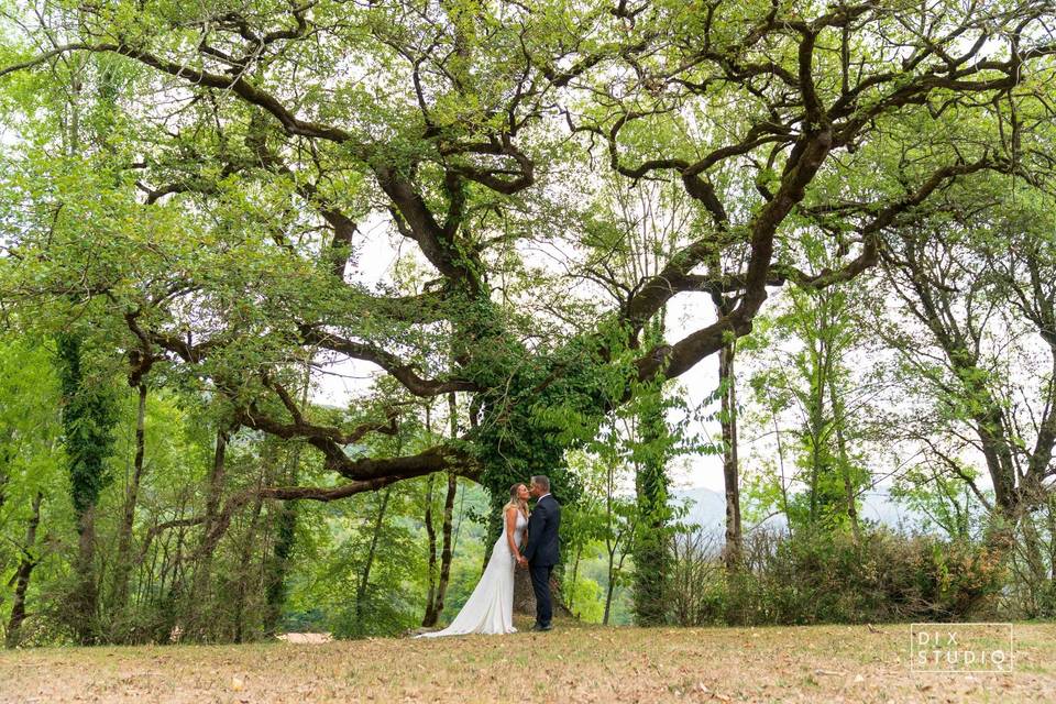 Boda de Sara & Cesar