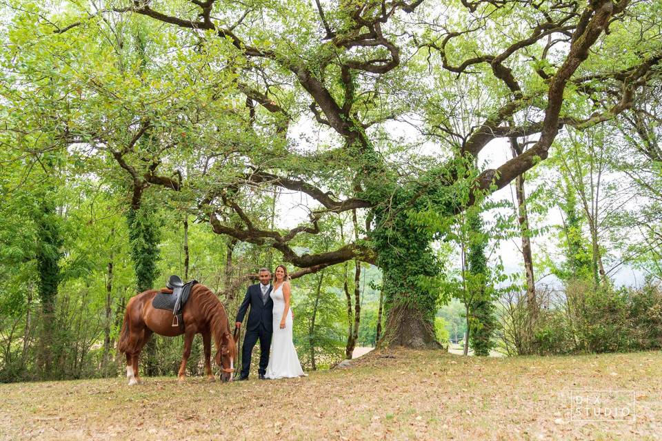 Boda de Sara & Cesar