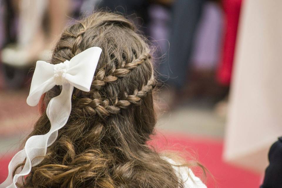 Semirecogido con trenzas