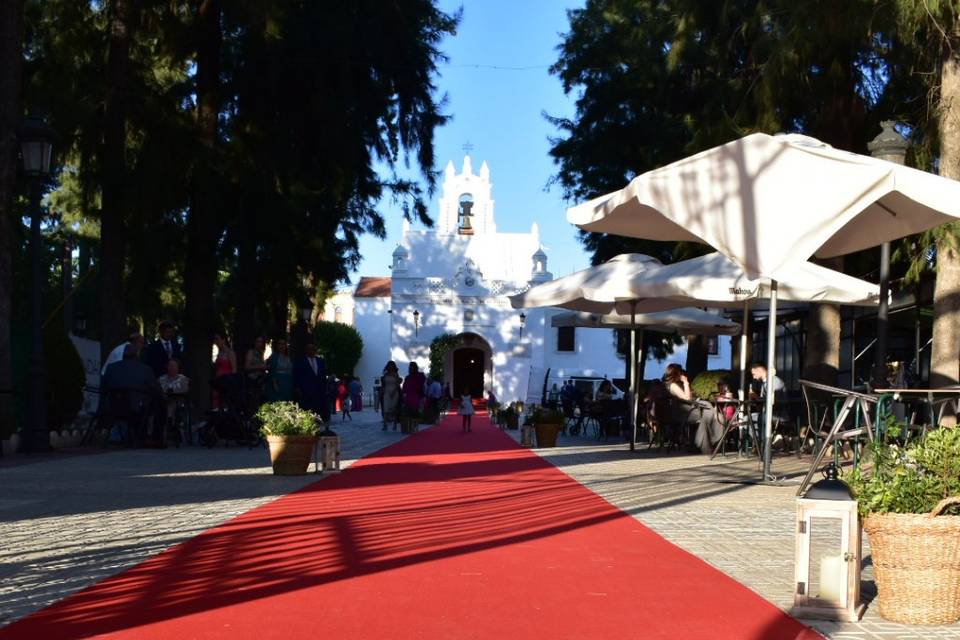 Alfombra decorada